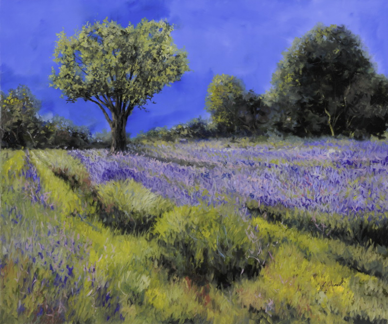 Guido Borelli Lavender Field