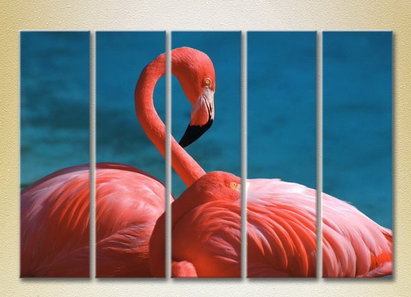 Pink Flamingos25