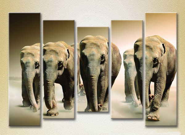 The Family Of Elephants5