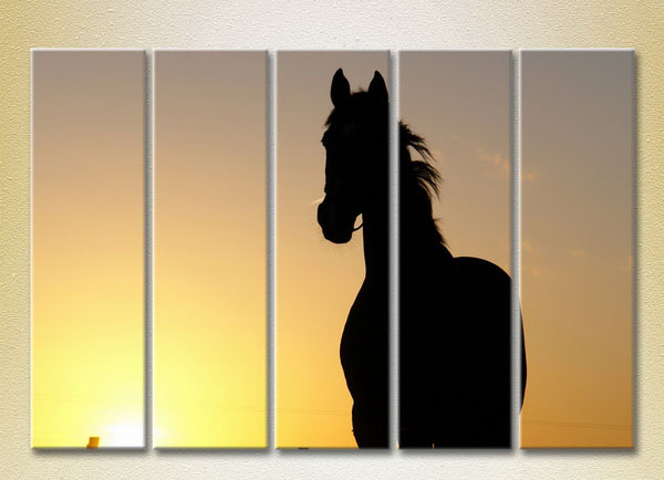 Silhouette Of A Horse At Sunset5