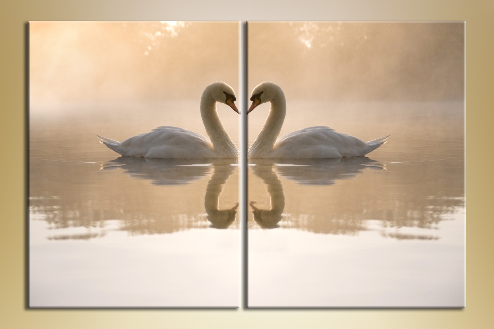 Pair Of Swans2