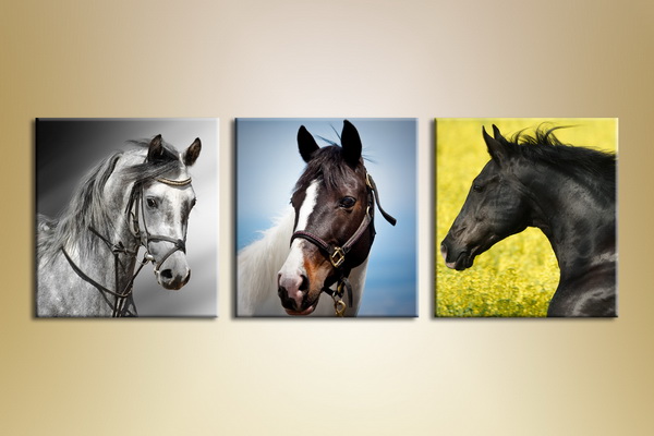 Portraits Of Horses3