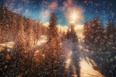 Winter Landscape Art Prints Decor Seasons Winter Forests Picture Art. No:10000017110