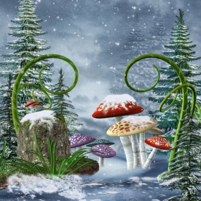 Winter Landscape Art Prints Decor Winter Mushrooms nature Art. No:10000017142
