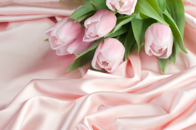 Tulips Art Home Decor Prints Delicate Pink Tulips Art. No: 10000007488