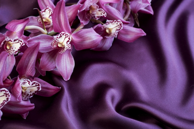 Floral Decor Art & Photo Prints Lilac Orchid on Lilac Atlas Art. No: 10000007368
