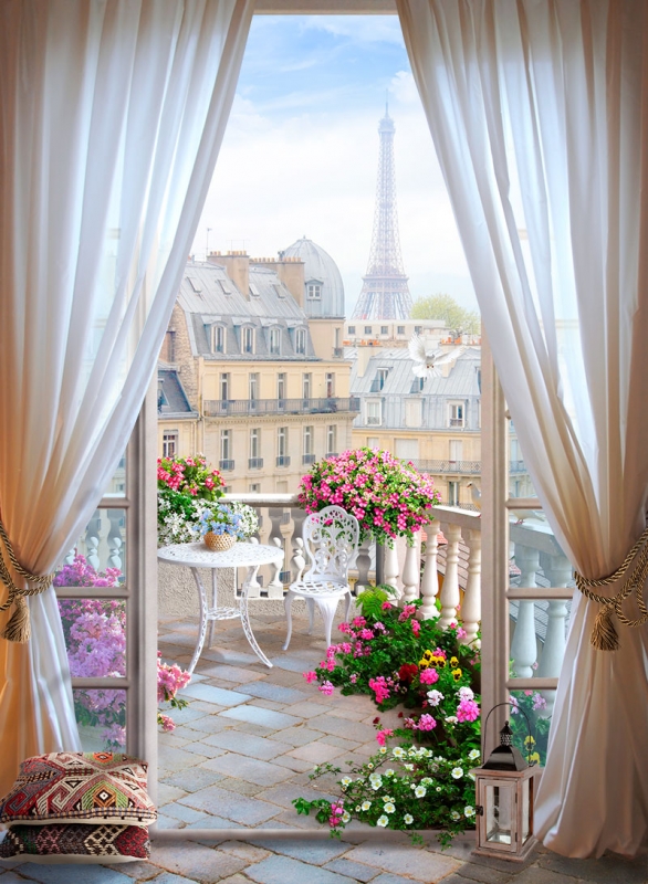 Beautiful Paris View