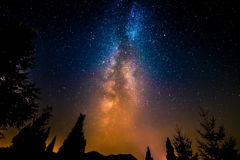 Stars wall murals & wallpaper Milky Way Over the Forest Art. No: 10000008560